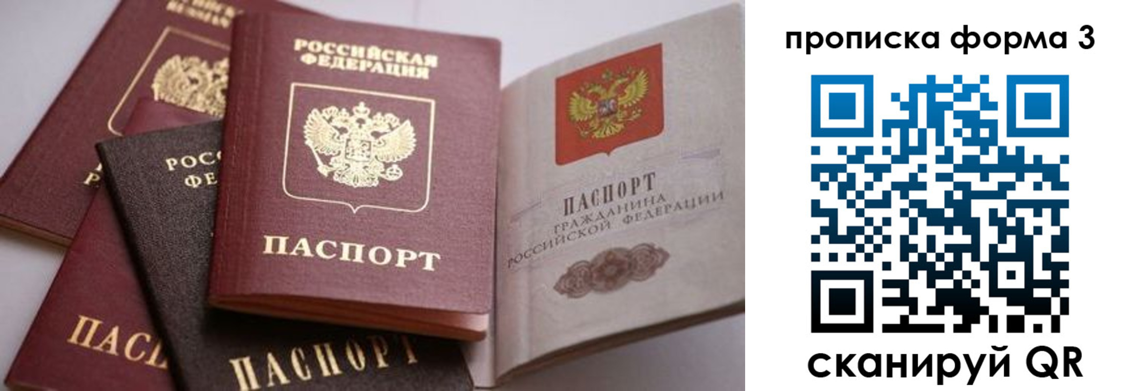 прописка для школы в Кохме